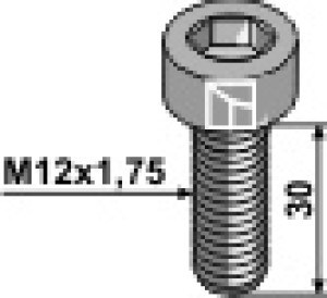 Inbusbout - M12x1,75 - 10.9