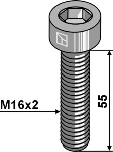Inbusbout - M16x2x55 - 12.9