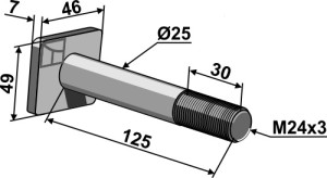 Pen