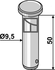 Pen