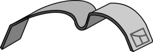 Veer