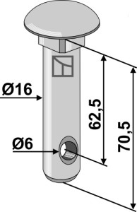 Pen