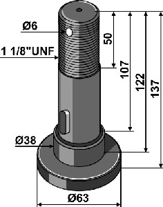 Pen
