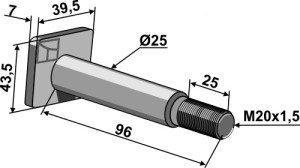 Pen