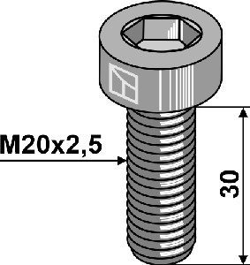 Inbusbout - M20x2,5 - 10.9