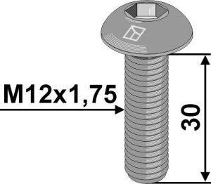 Hexagon socket bolt M12x1,75x30 - Galvanized